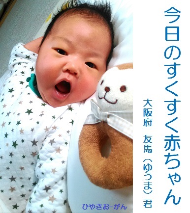 26回