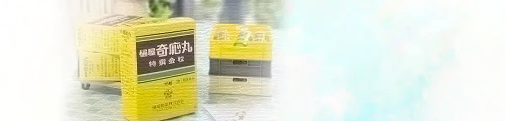 樋屋奇応丸イメージ